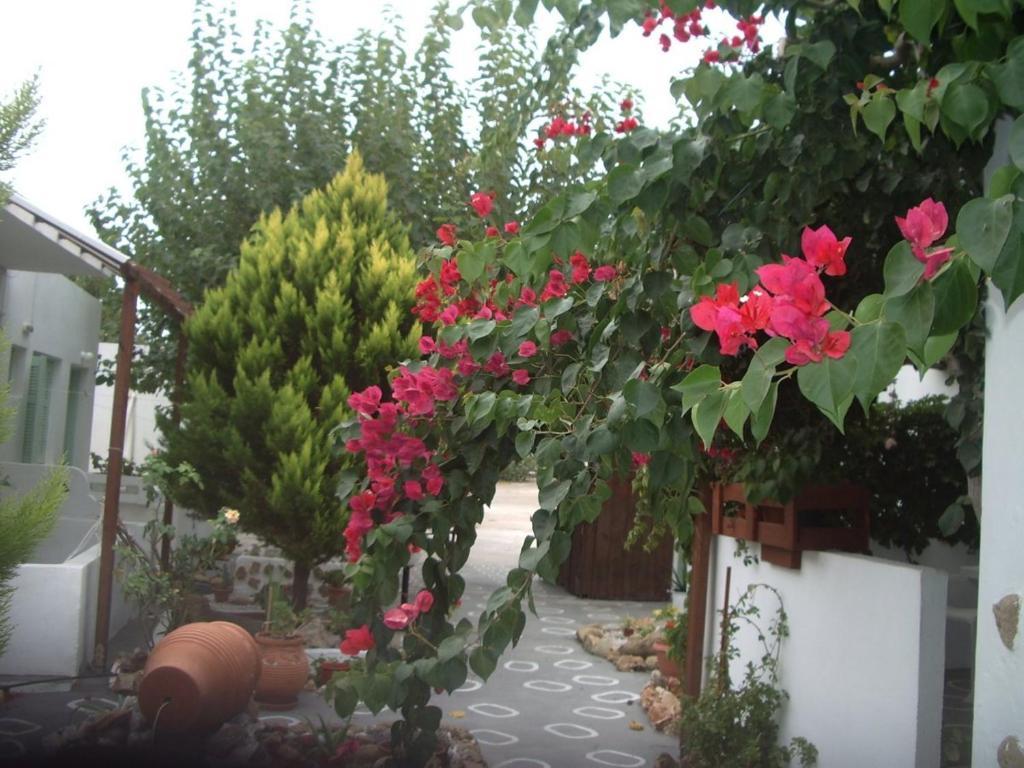 Skyros Panorama Studios Dış mekan fotoğraf