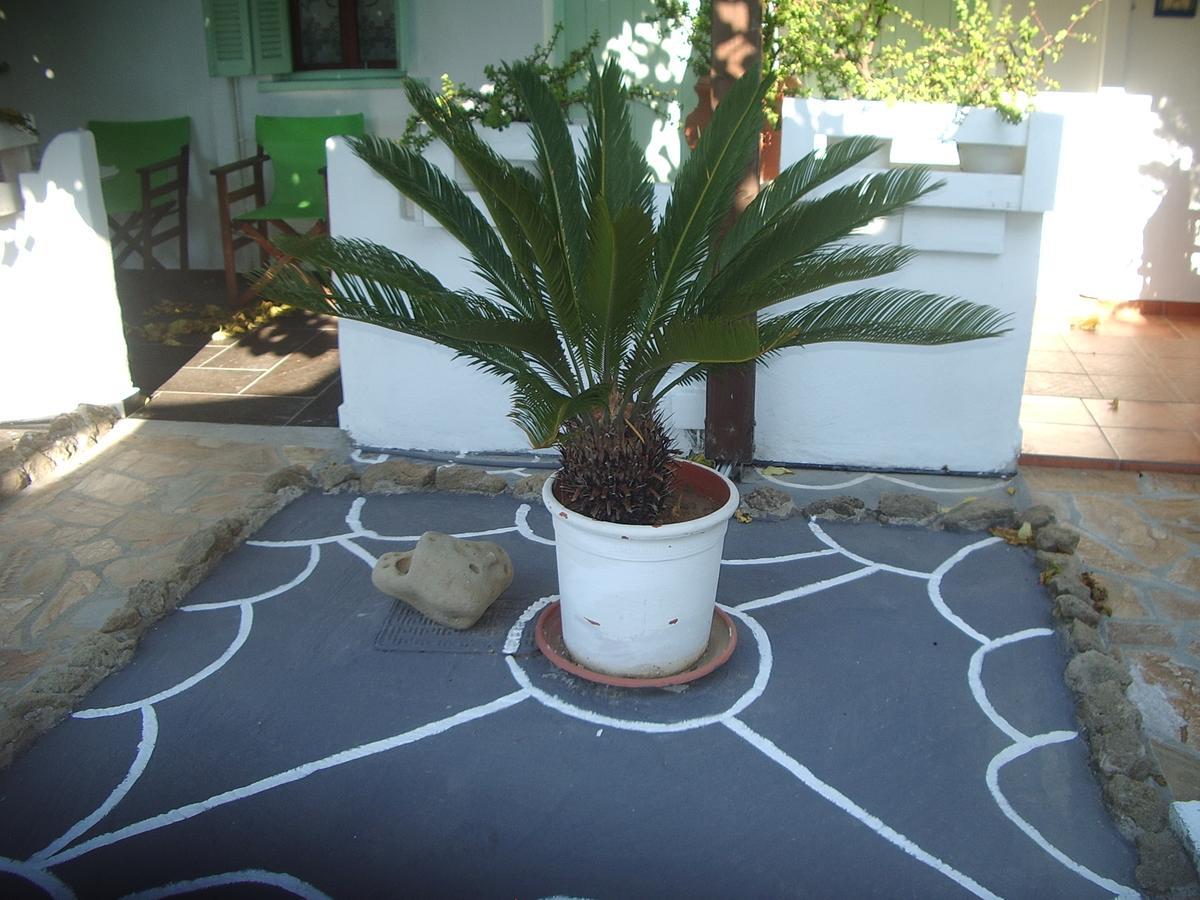 Skyros Panorama Studios Dış mekan fotoğraf